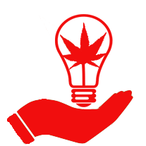 Top 200 Cannabis Consultants